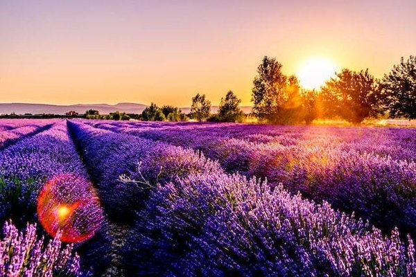 Les meilleurs itinéraires de road trip pour les seniors en France